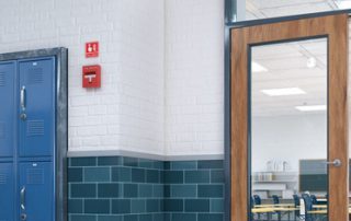 Hospital & School Painting