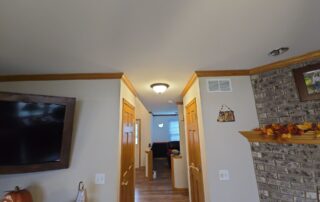 Professional Painting